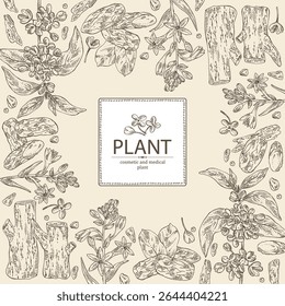 Fundo com plantas cosméticas, perfumaria e medicinais: osmanthus, polianthes tuberosa, tonka feijão, agar madeira, árvore oud. Ilustração desenhada à mão vetorial