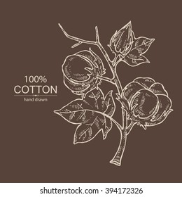 Background with cotton . hand drawn