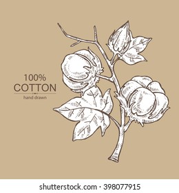 Background with cotton. hand drawn