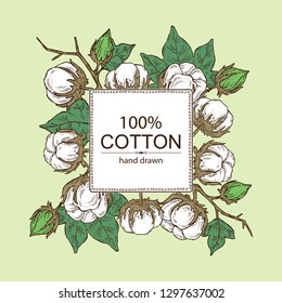 Background with cotton: cotton plant and leaves. Vector hand drawn illustration.