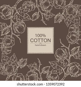 Background with cotton: cotton plant and leaves. Vector hand drawn illustration.