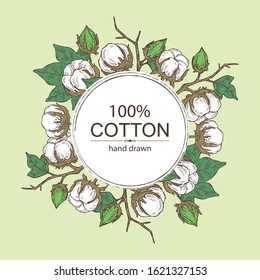 Background with cotton: cotton plant and leaves. Vector hand drawn illustration.