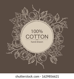 Background with cotton: cotton plant and leaves. Vector hand drawn illustration.