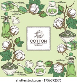 Fondo con algodón, planta de algodón, jabón y sal de baño. Planta cosmética y médica. Ilustración dibujada a mano por vectores. 