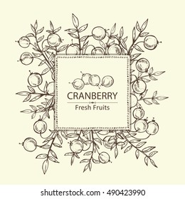 Background with with cranberry . hand drawn