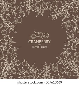Background with cranberry . hand drawn