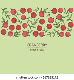Background with cranberry . hand drawn