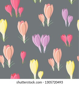 Background with crocuses. spring. pastel colors. Vector illustration