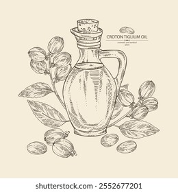 Background with croton: croton tiglium fruits and bottle of croton oil. Vector hand drawn illustration