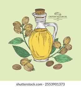 Background with croton: croton tiglium fruits and bottle of croton oil. Vector hand drawn illustration