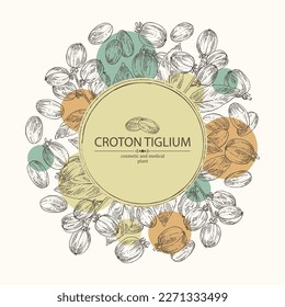 Background with croton tiglium: croton tiglium plant, leaves and croton tiglium fruits. Cosmetic, perfumery and medical plant. Vector hand drawn illustration.