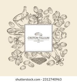 Background with croton tiglium: croton tiglium plant, leaves and croton tiglium fruits. Oil, soap and bath salt . Cosmetics and medical plant. Vector hand drawn illustration