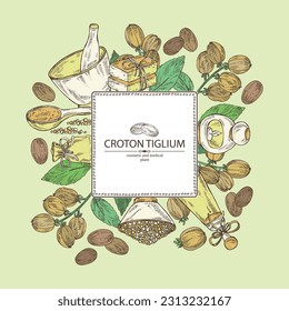 Background with croton tiglium: croton tiglium plant, leaves and croton tiglium fruits. Oil, soap and bath salt . Cosmetics and medical plant. Vector hand drawn illustration