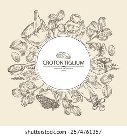 Background with croton tiglium: croton tiglium plant, leaves and croton tiglium fruits. Oil, soap and bath salt . Cosmetics and medical plant. Vector hand drawn illustration