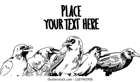 Background with crows. Drawing by hand in vintage style. Crows are sitting.