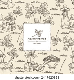 Background with cryptotaenia japonica: cryptotaenia leaves and plant. Honewort. Mitsuba Plant. Oil, soap and bath salt . Cosmetics and medical plant. Vector hand drawn illustration