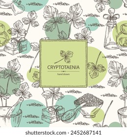 Background with cryptotaenia japonica: cryptotaenia leaves and plant. Honewort. Mitsuba Plant. Oil, soap and bath salt . Cosmetics and medical plant. Vector hand drawn illustration