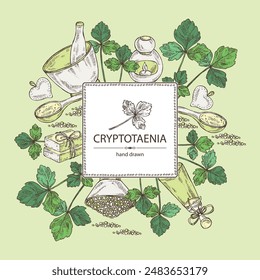 Background with cryptotaenia japonica: cryptotaenia leaves and plant. Honewort. Mitsuba Plant. Oil, soap and bath salt . Cosmetics and medical plant. Vector hand drawn illustration