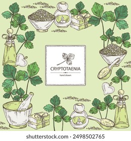 Background with cryptotaenia japonica: cryptotaenia leaves and plant. Honewort. Mitsuba Plant. Oil, soap and bath salt . Cosmetics and medical plant. Vector hand drawn illustration