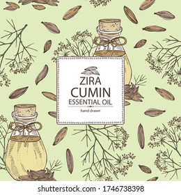 Background with cumin and bottle of cumin essential oil. Cosmetic, perfumery and medical plant. Vector hand drawn illustration