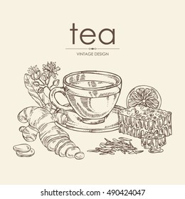 Background with cup of tea, linden flower, lemon, ginger and honeycomb . hand drawn