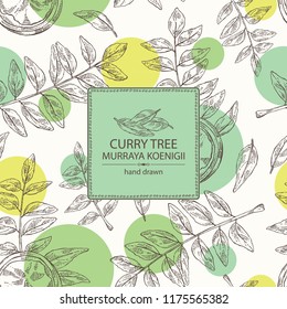 Background with curry tree: branch, powder and curry leaves. Murraya koenigii. Vector hand drawn illustration.