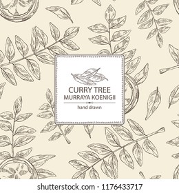 Background with curry tree: branch, powder and curry leaves. Murraya koenigii. Vector hand drawn illustration.