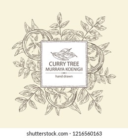 Background with curry tree: branch, powder and curry leaves. Murraya koenigii. Vector hand drawn illustration.