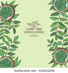 Background with curry tree: branch, powder and curry leaves. Murraya koenigii. Vector hand drawn illustration.