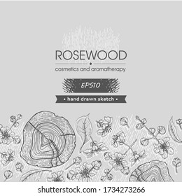 Background with cut of a Rosewood and twigs with flowers and buds. Detailed hand-drawn sketches, vector botanical illustration. For menu, label, packaging design