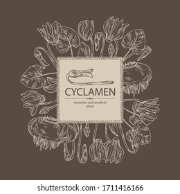 Background with cyclamen: cyclamen flowers, bud, root and leaves. Alpine violet. Cosmetic, perfumery and medical plant. Vector hand drawn illustration