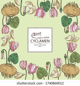 Background with cyclamen: cyclamen flowers, bud, root and leaves. Alpine violet. Cosmetic, perfumery and medical plant. Vector hand drawn illustration