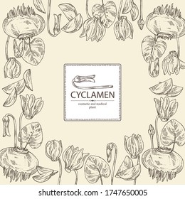 Background with cyclamen: cyclamen flowers, bud, root and leaves. Alpine violet. Cosmetic, perfumery and medical plant. Vector hand drawn illustration