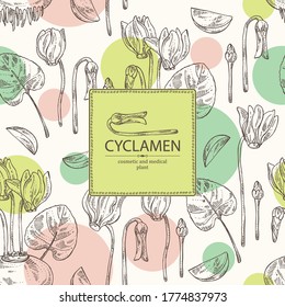 Background with cyclamen: cyclamen flowers, bud, root and leaves. Alpine violet. Cosmetic, perfumery and medical plant. Vector hand drawn illustration