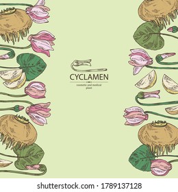Antecedentes con ciclamen: flores de ciclamen, brote, raíz y hojas. Violeta alpina. Cosmética, perfumería y planta médica. Ilustración dibujada a mano por el vector