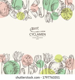 Background with cyclamen: cyclamen flowers, bud, root and leaves. Alpine violet. Cosmetic, perfumery and medical plant. Vector hand drawn illustration