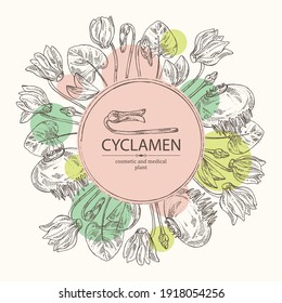 Background with cyclamen: cyclamen flowers, bud, root and leaves. Alpine violet. Cosmetic, perfumery and medical plant. Vector hand drawn illustration