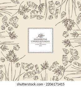 Background with cyperus rotundus: cyperus rotundus plant, nagarmotha leaves and cyperus rotundus roots. Nagarmotha. Cosmetic, perfumery and medical plant. Vector hand drawn