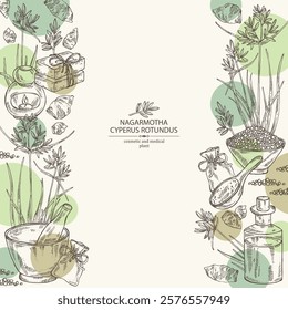 Background with cyperus rotundus: cyperus rotundus plant, nagarmotha leaves and cyperus rotundus roots. Nagarmotha. Oil, soap and bath salt . Cosmetics and medical plant. Vector hand drawn