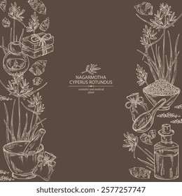 Background with cyperus rotundus: cyperus rotundus plant, nagarmotha leaves and cyperus rotundus roots. Nagarmotha. Oil, soap and bath salt . Cosmetics and medical plant. Vector hand drawn