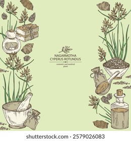 Background with cyperus rotundus: cyperus rotundus plant, nagarmotha leaves and cyperus rotundus roots. Nagarmotha. Oil, soap and bath salt . Cosmetics and medical plant. Vector hand drawn