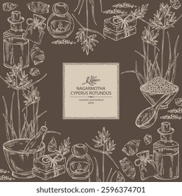 Background with cyperus rotundus: cyperus rotundus plant, nagarmotha leaves and cyperus rotundus roots. Nagarmotha. Oil, soap and bath salt . Cosmetics and medical plant. Vector hand drawn