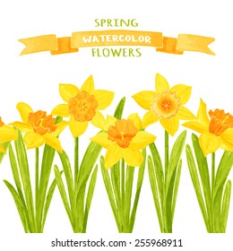 Background of daffodils. Watercolor vector illustration. Floral design elements. Global color used.