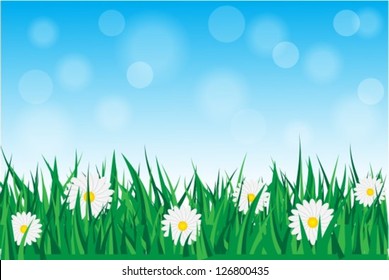 Background with daisies in the grass with blue sky
