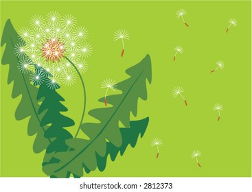 Background with 	dandelion