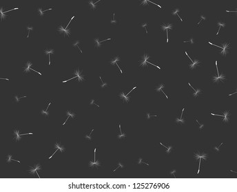 background dandelion fluff