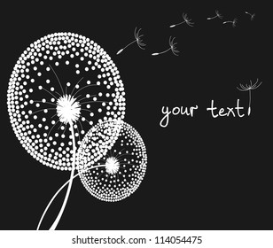 The background with the dandelions, your can be here