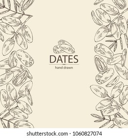 Background with date fruit: branch, date fruits and leaves. Vector hand drawn illustration.