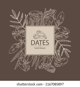 Background with date fruit: branch, date fruits and leaves. Vector hand drawn illustration.