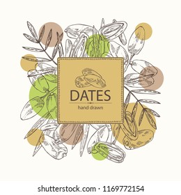 Background with date fruit: branch, date fruits and leaves. Vector hand drawn illustration.